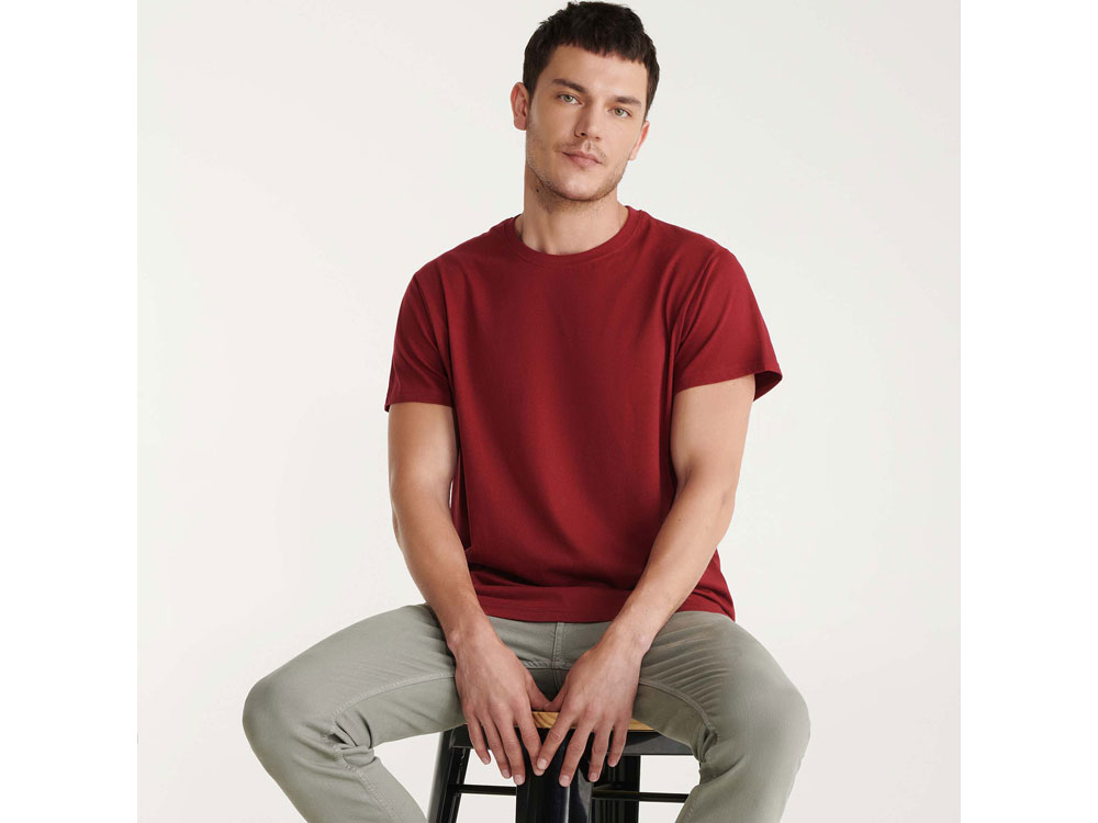 Футболка Beagle мужская