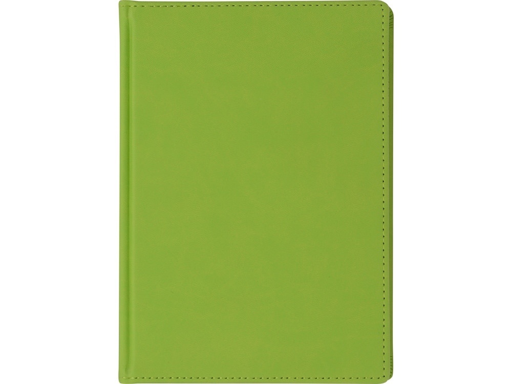 Ежедневник недатированный А4 Velvet