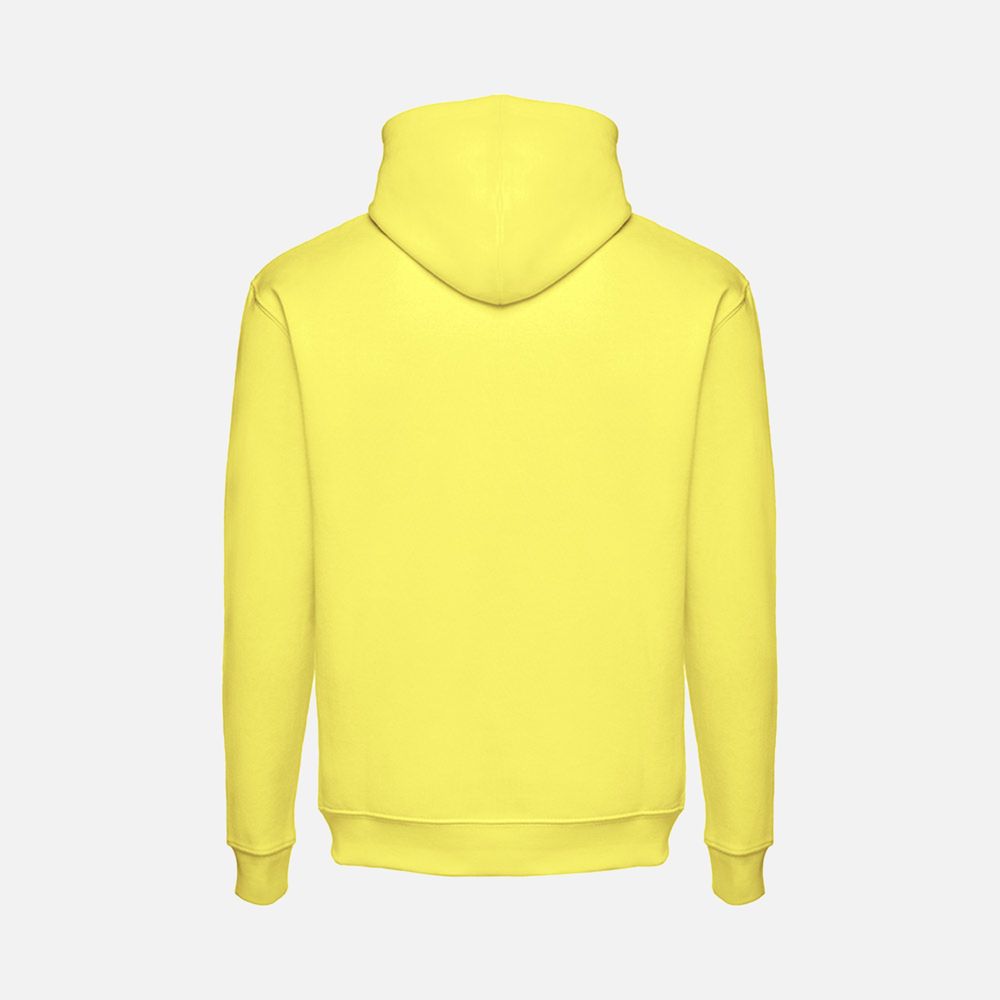 Худи унисекс Phoenix