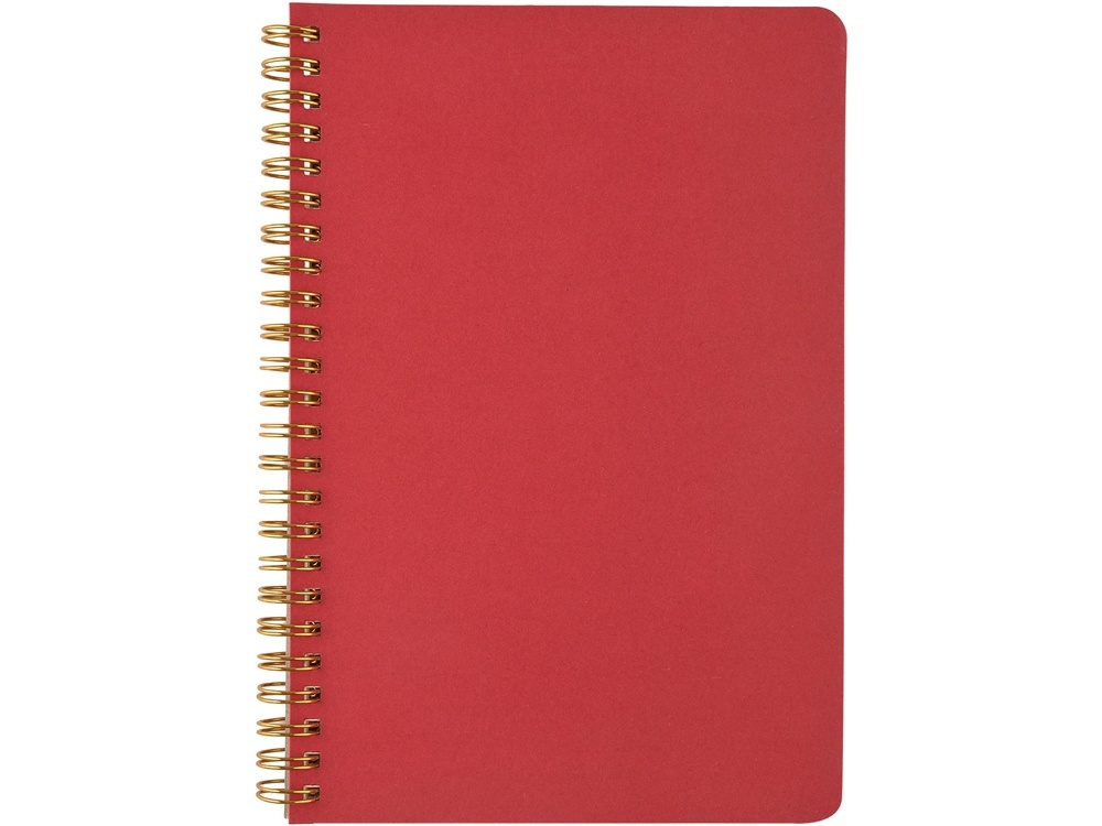 Бизнес тетрадь А5 Pragmatic