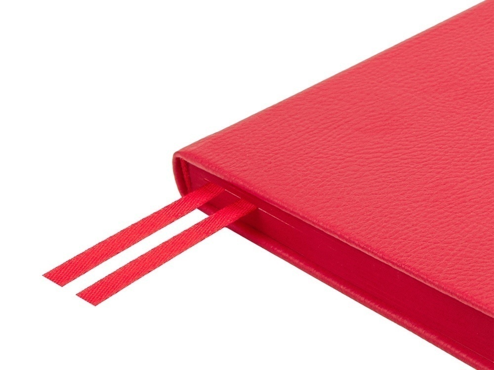 Ежедневник недатированный А5 Megapolis Nappa