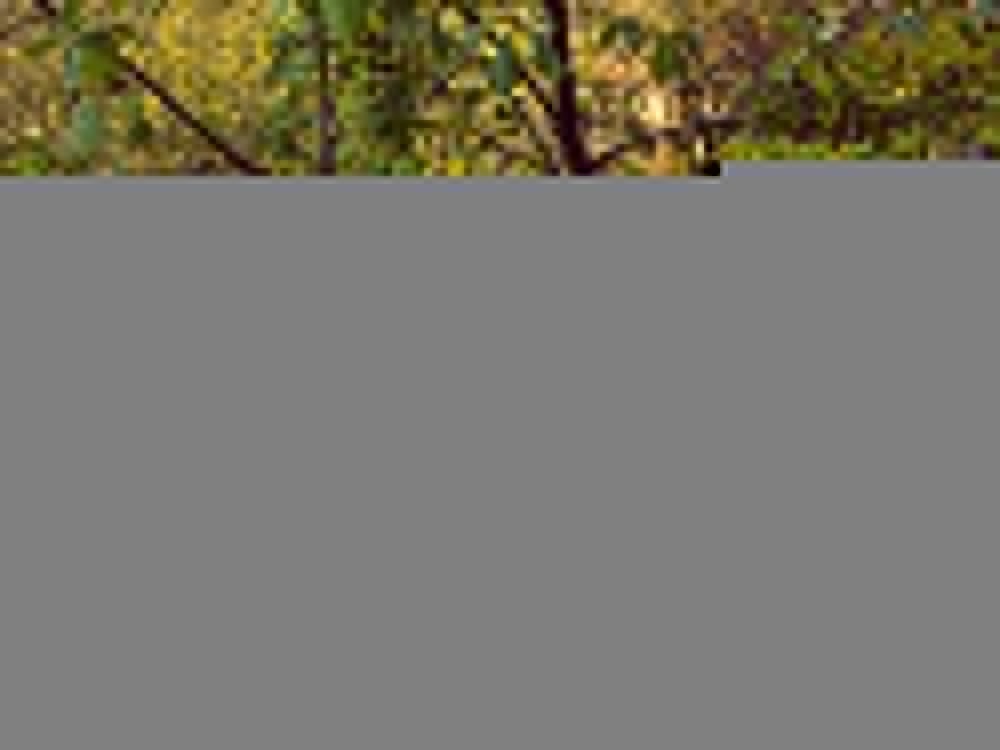 Футболка Pure из неокрашенного хлопка, мужская