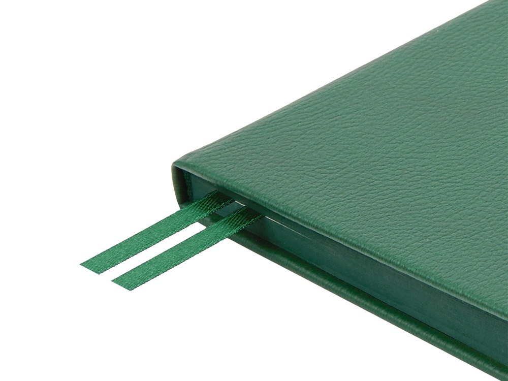 Ежедневник недатированный А5 Megapolis Nappa