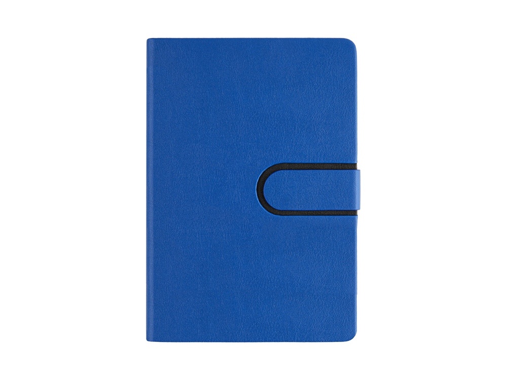 Ежедневник недатированный А5 Status