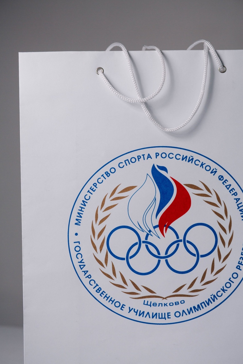 Бумажный пакет с люверсами 12х37х12 вертикальный