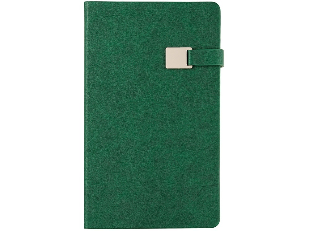 Ежедневник недатированный А5 Premier