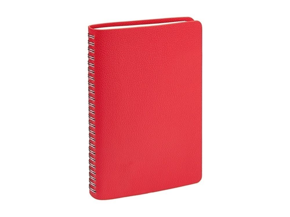 Ежедневник недатированный А5 Alba