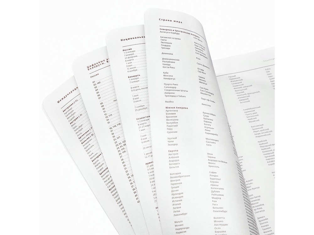 Ежедневник недатированный А5 Mercury