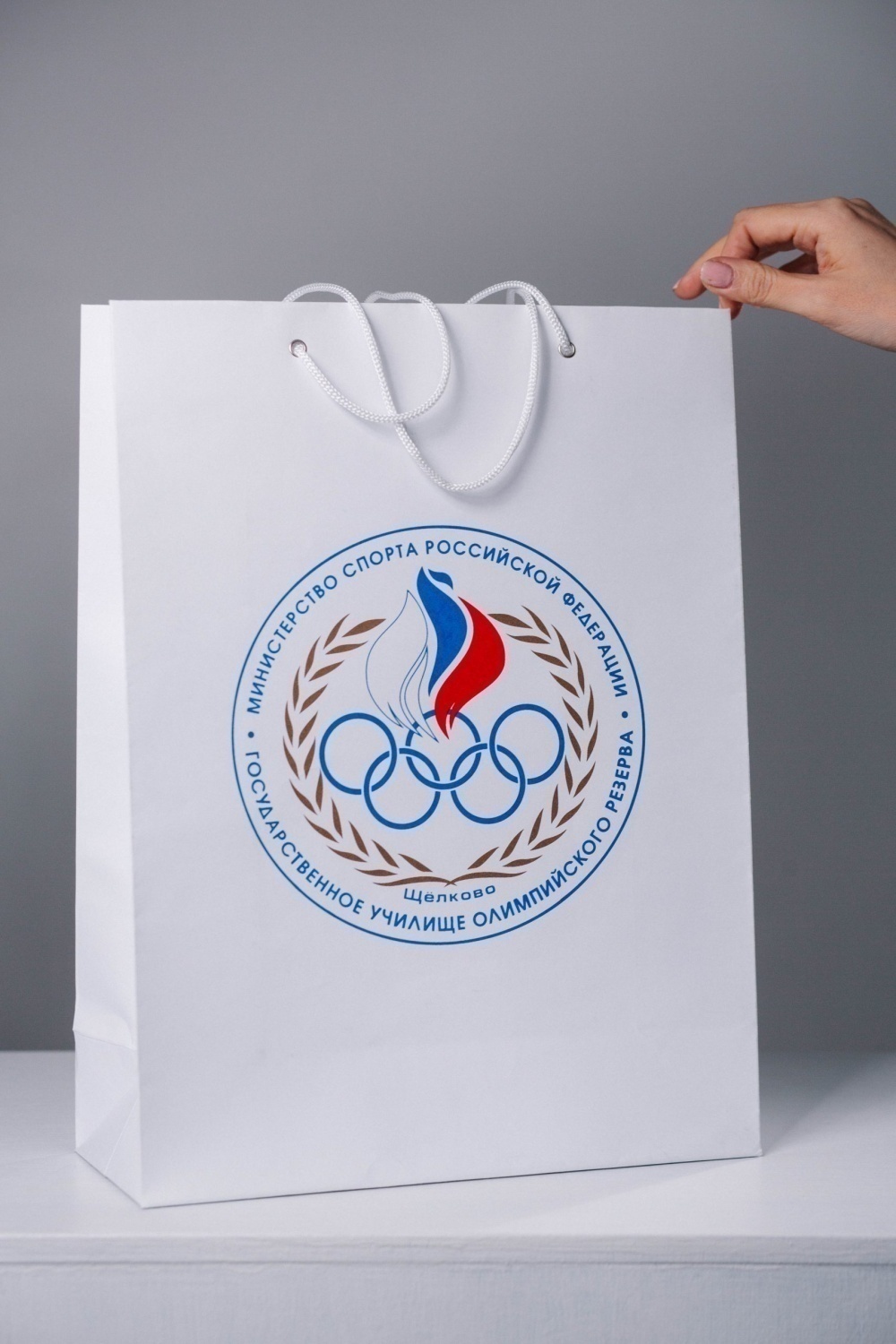 Бумажный пакет с люверсами 20х30х10 см от 100 шт.