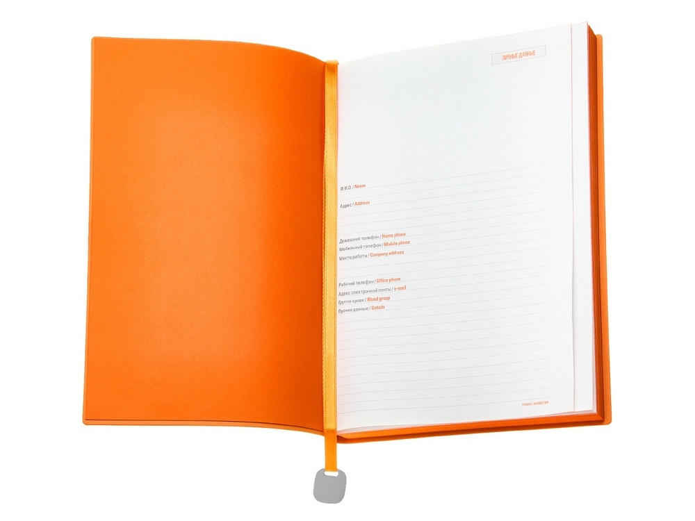 Ежедневник недатированный А5 Mercury