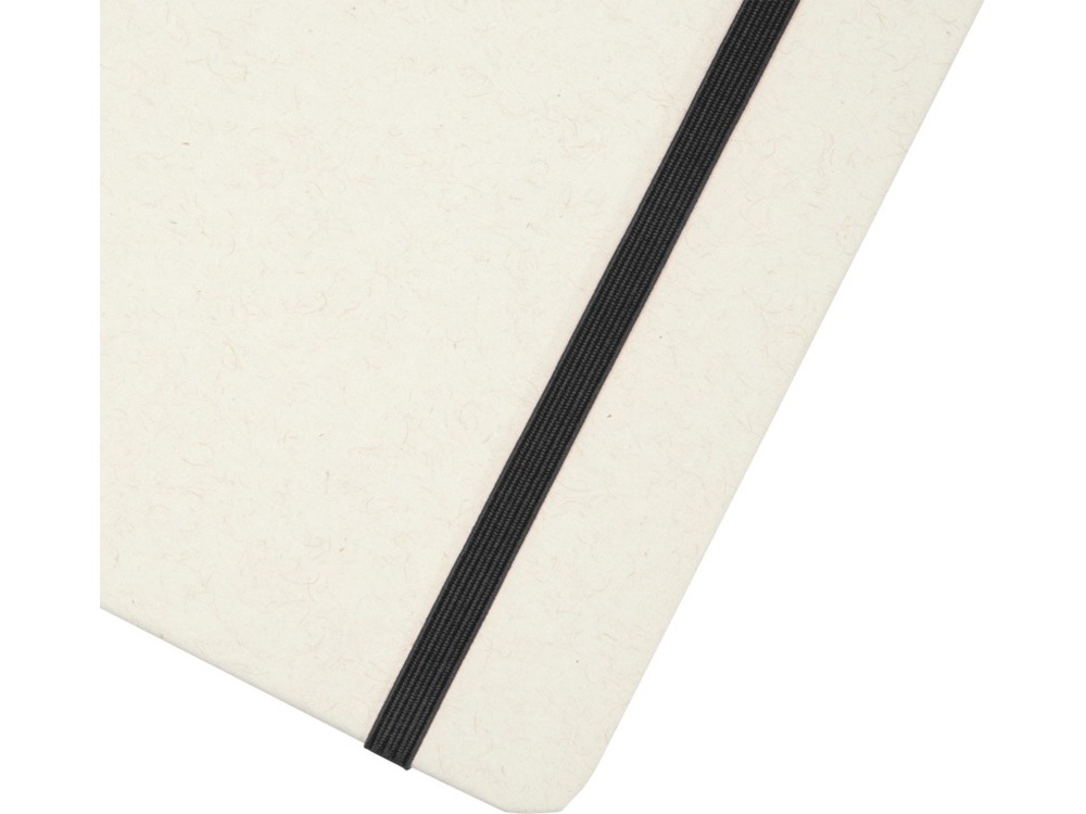 Блокнот A5 Bass