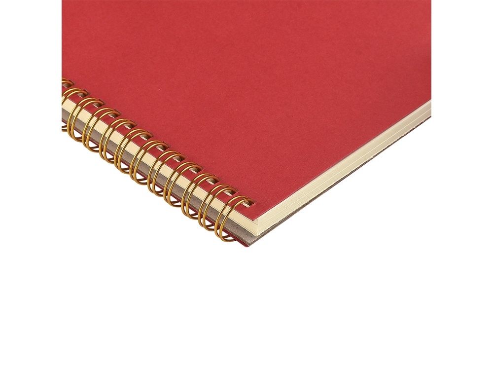 Бизнес тетрадь А5 Pragmatic