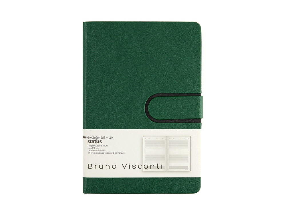 Ежедневник недатированный А5 Status