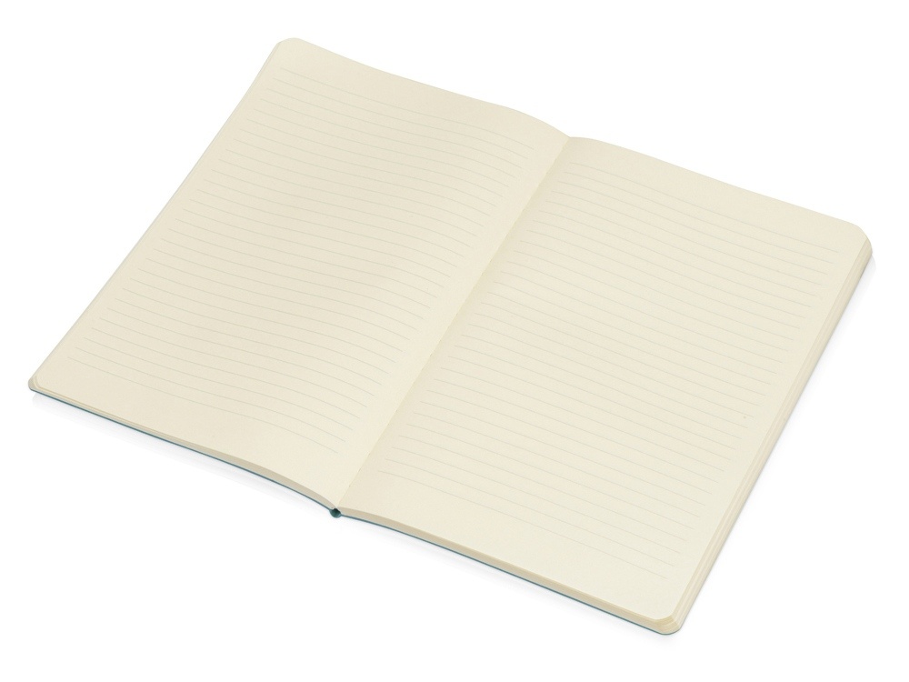 Блокнот А5 Softy soft-touch