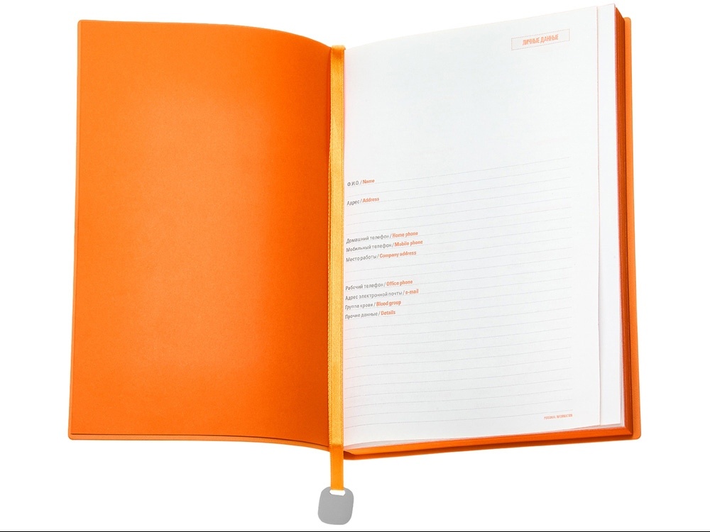 Ежедневник недатированный А5 Mercury