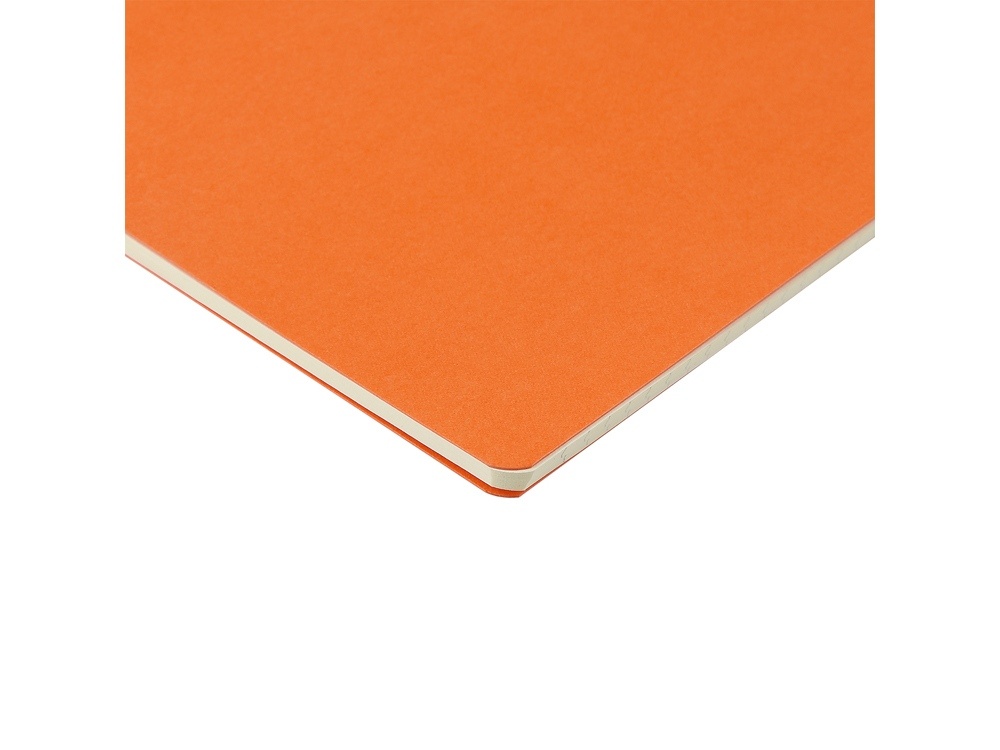 Бизнес тетрадь А5 Pragmatic