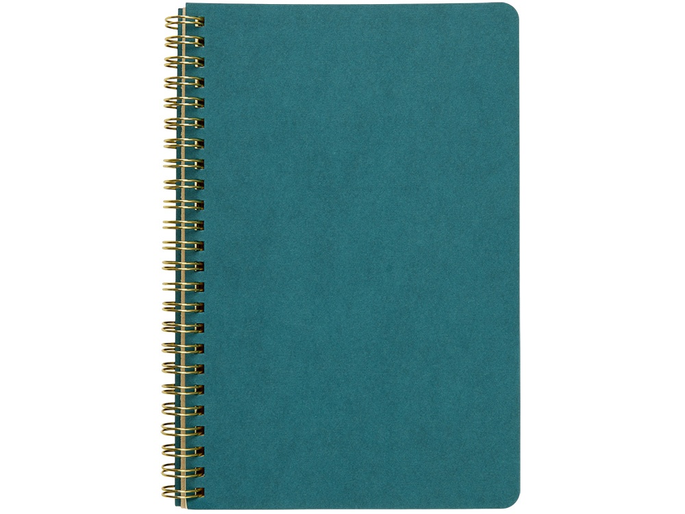 Бизнес тетрадь А5 Pragmatic