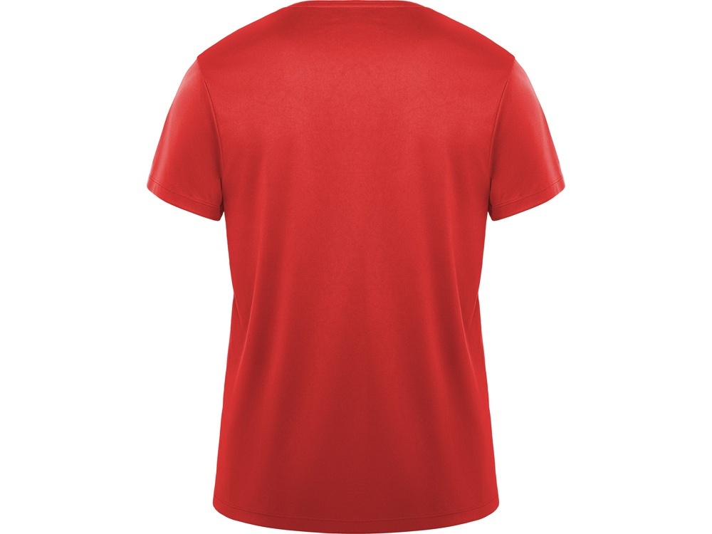 Спортивная футболка Daytona мужская