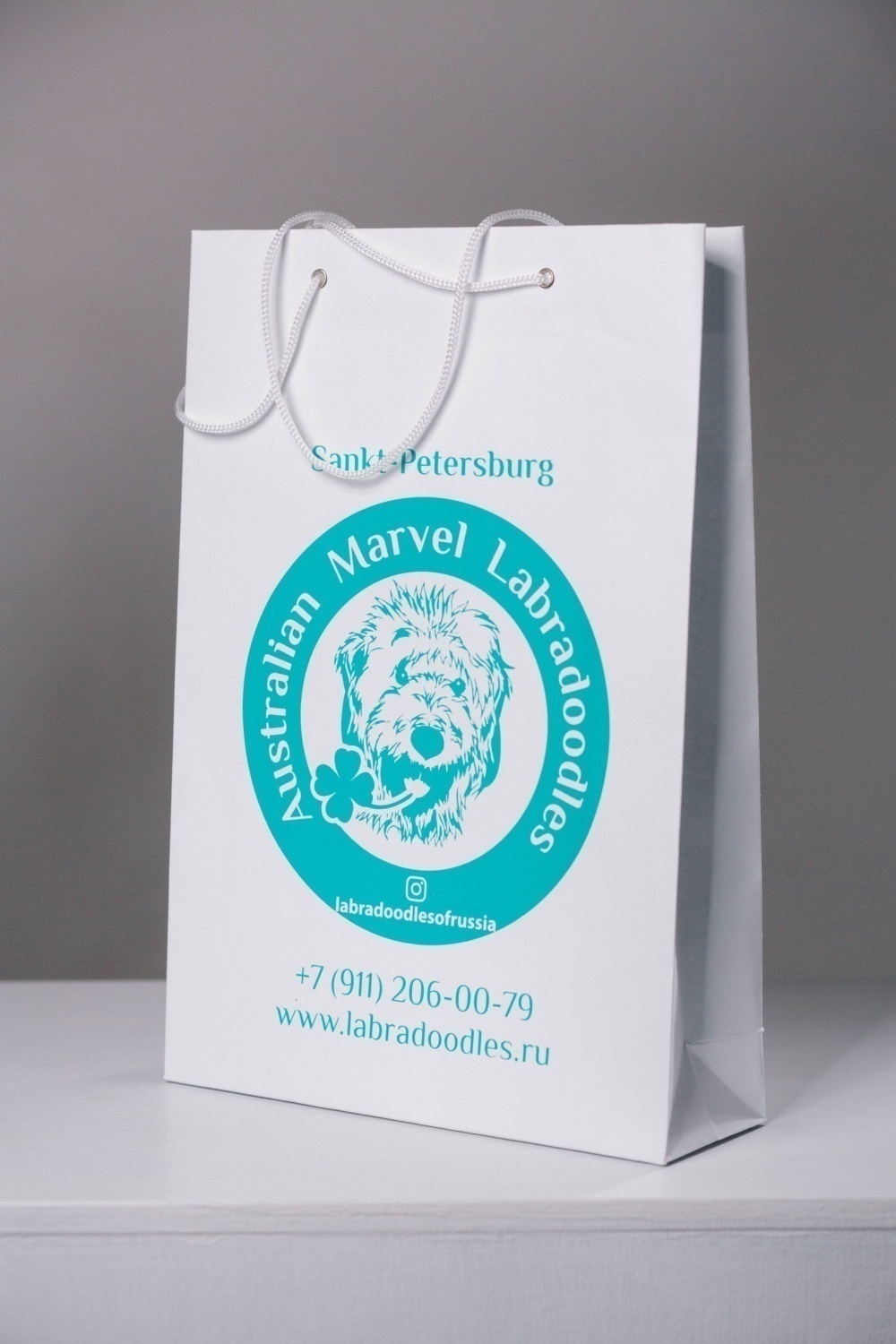 Бумажный пакет с люверсами 25х35х10 вертикальный