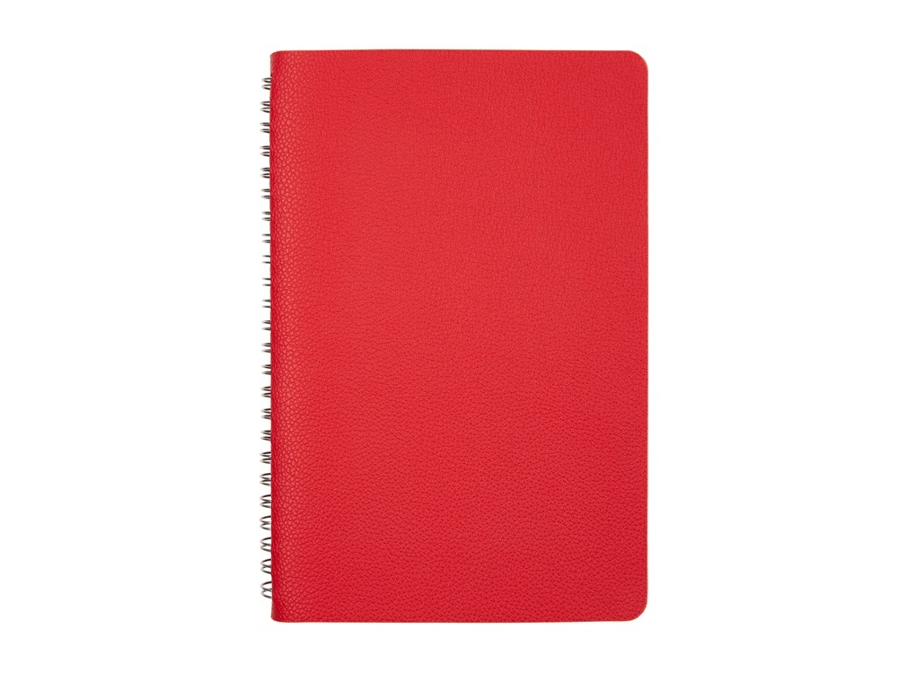 Ежедневник недатированный А5 Alba