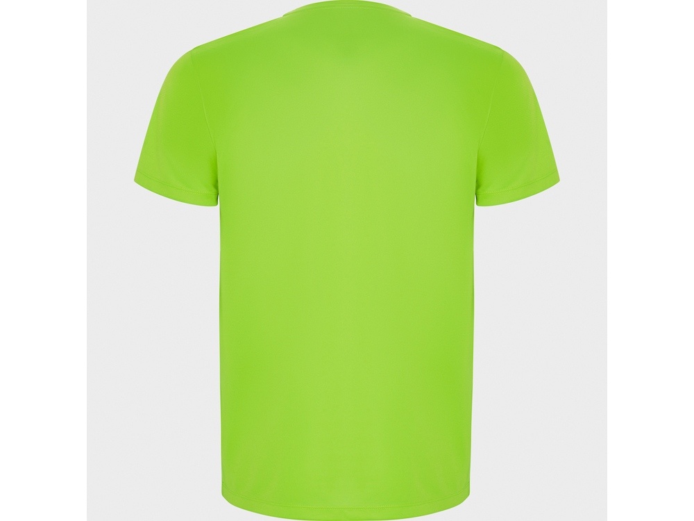 Спортивная футболка Imola мужская