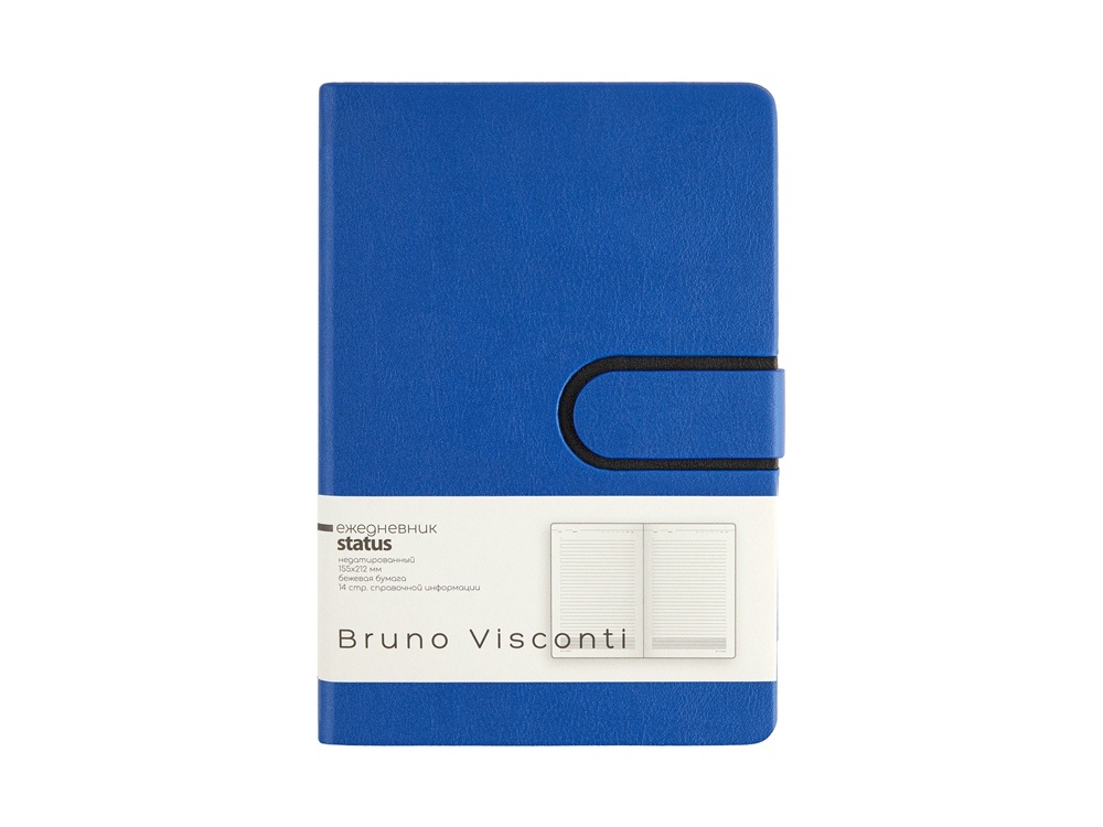 Ежедневник недатированный А5 Status
