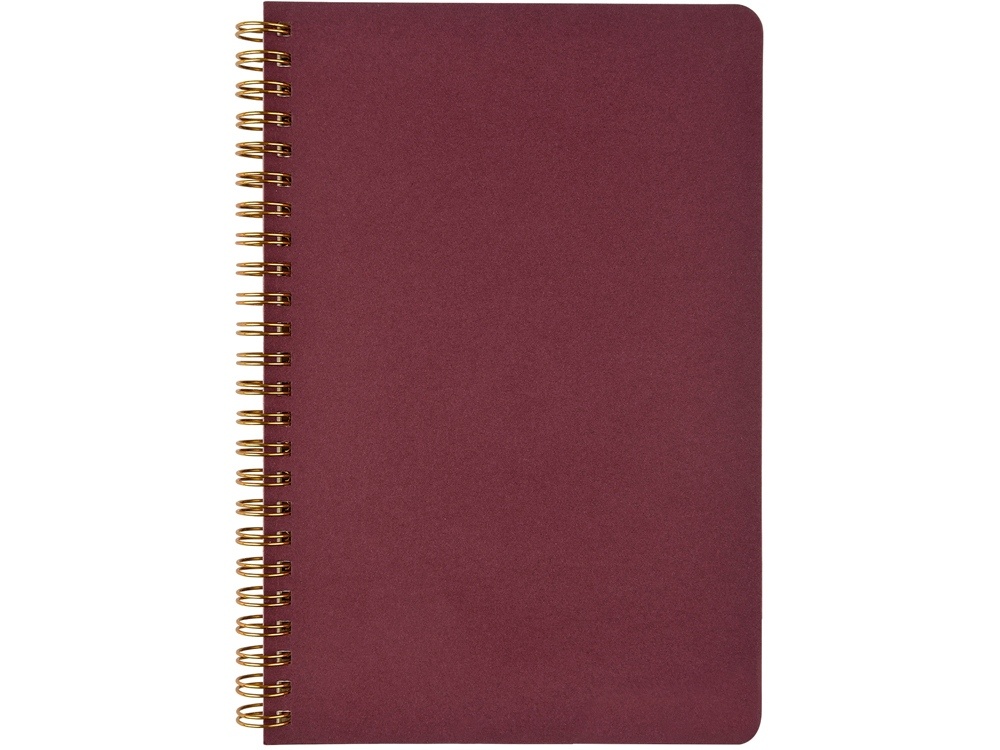 Бизнес тетрадь А5 Pragmatic