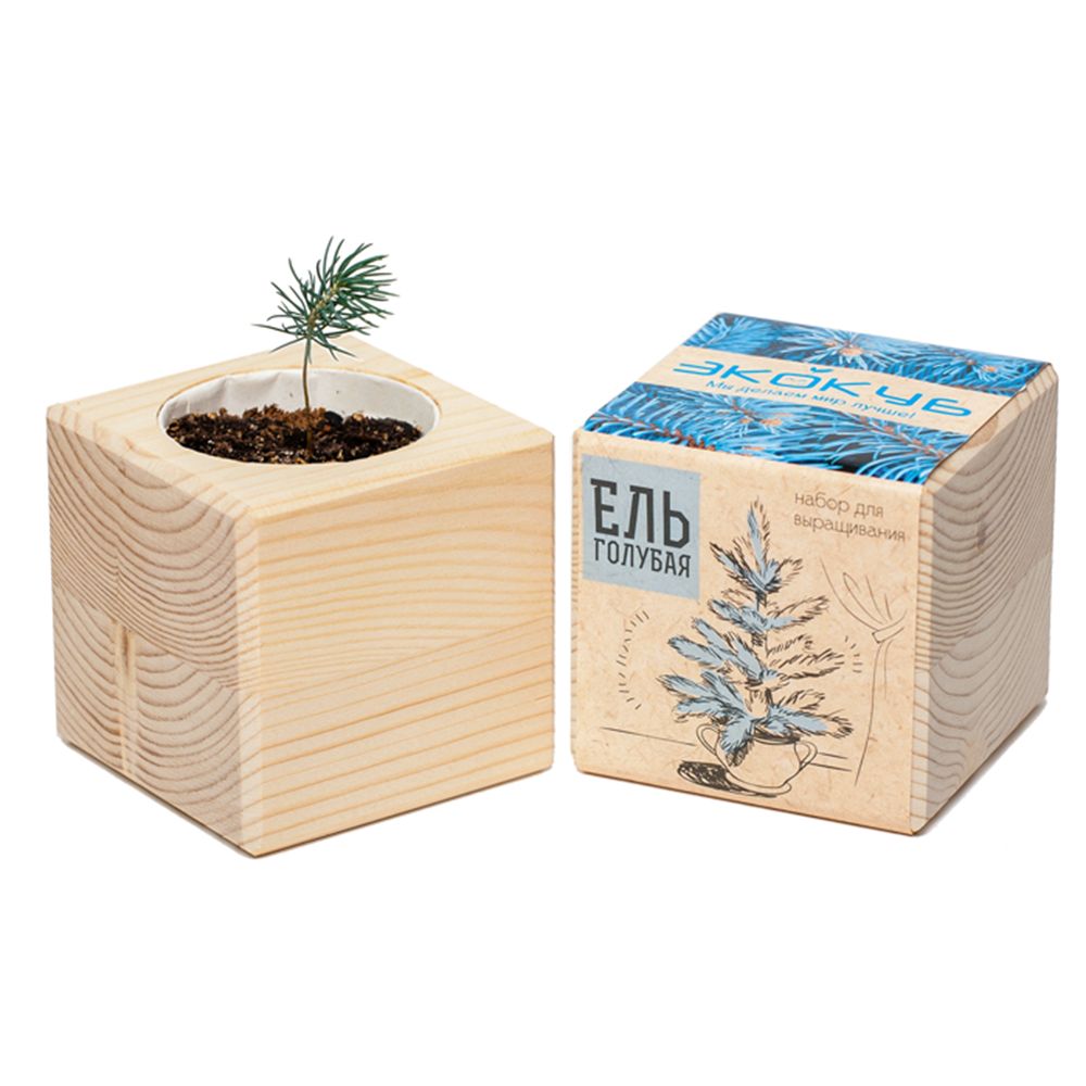 Набор для выращивания «Экокуб»